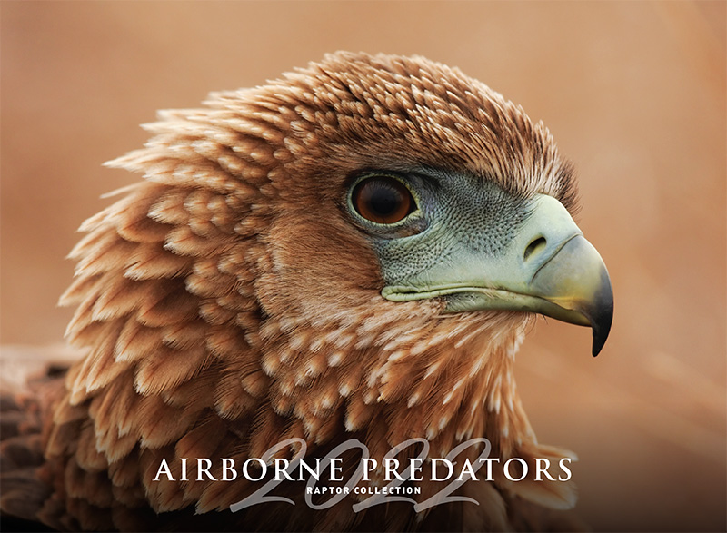 Airborne Predators
